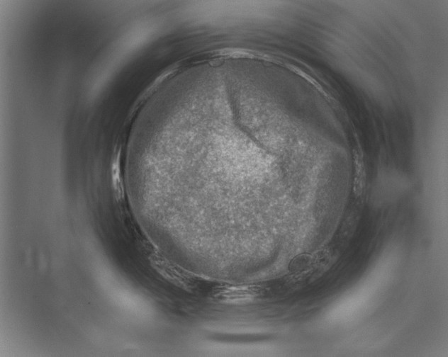 X0000075381198200610061831