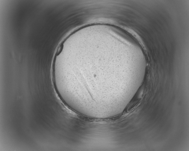 X0000075381199200610061831