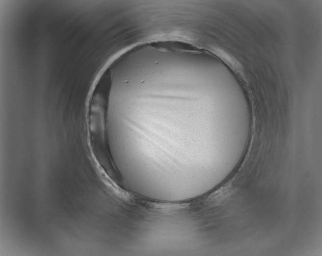 X0000075381200200610061831