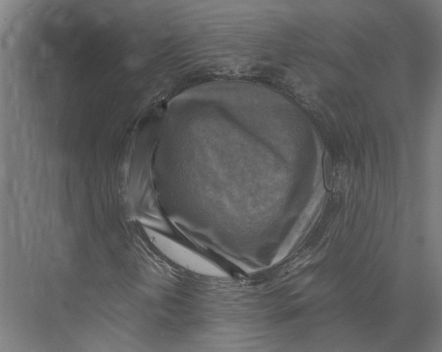 X0000075381202200610061830