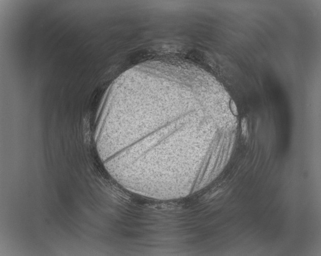 X0000075381203200610061830