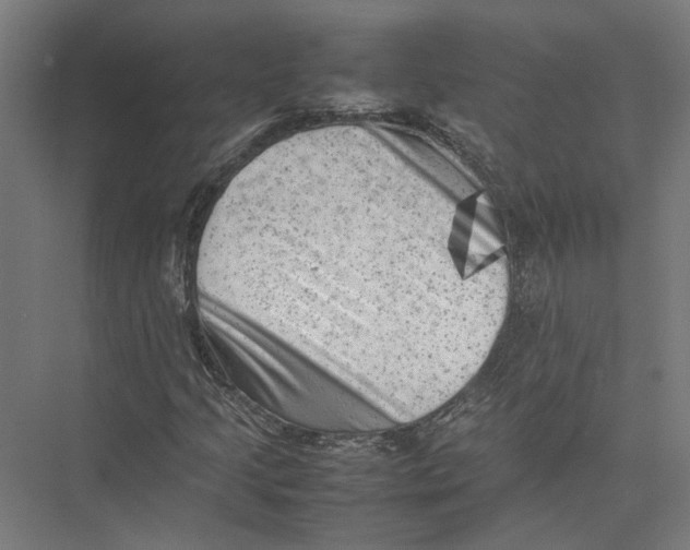 X0000075381205200610061830