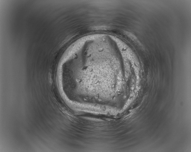 X0000075381209200610061830