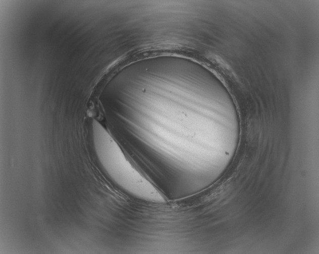 X0000075381210200610061830