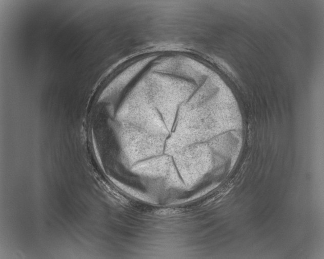 X0000075381212200610061830