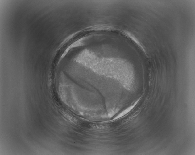 X0000075381213200610061830