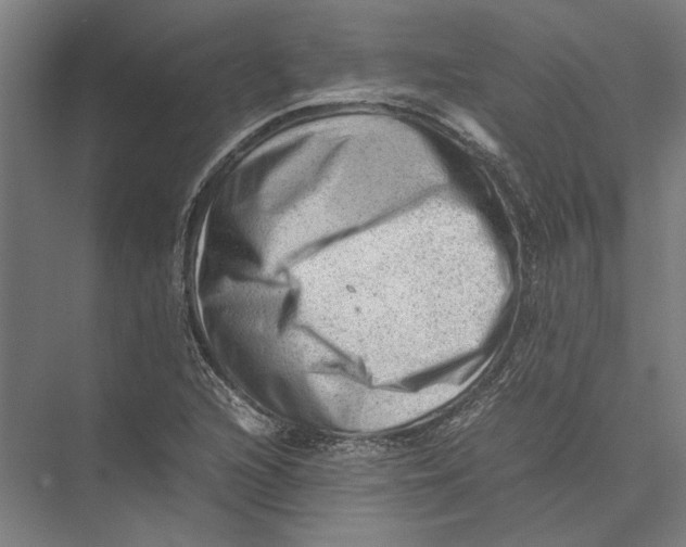 X0000075381216200610061830