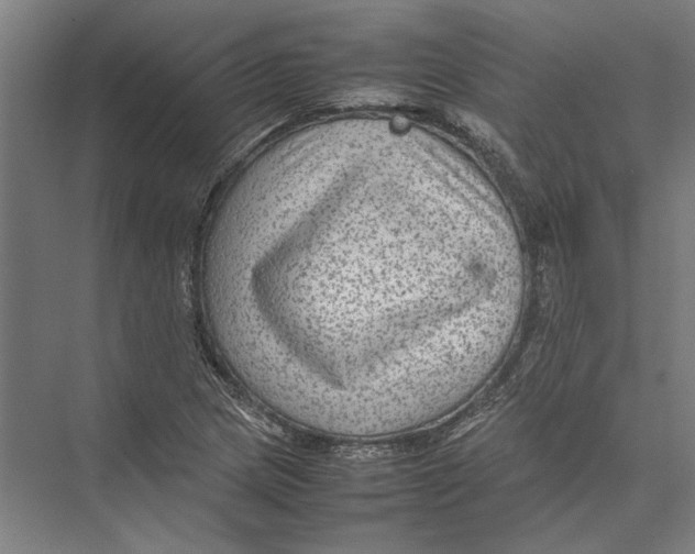 X0000075381217200610061830