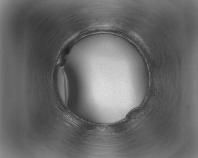 X0000075381218200610061830