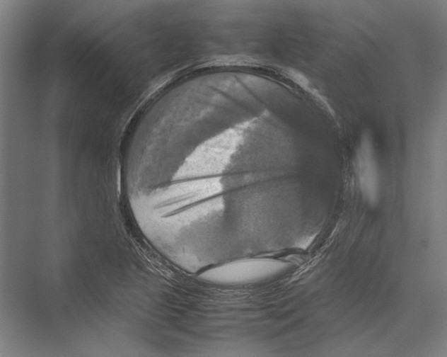 X0000075381221200610061830