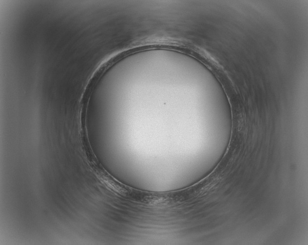 X0000075381222200610061830