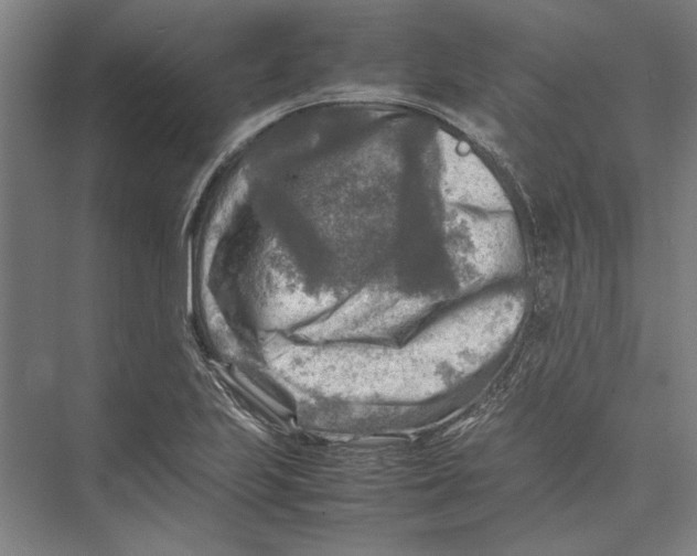 X0000075381223200610061830