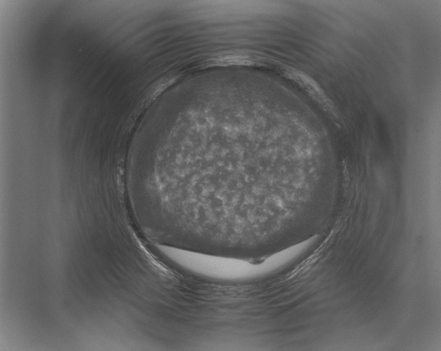 X0000075381225200610061830