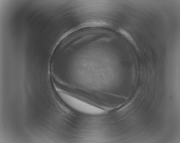 X0000075381226200610061830