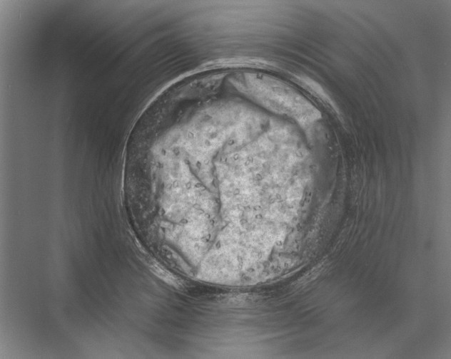 X0000075381228200610061830