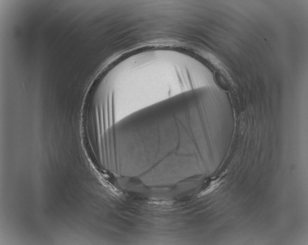 X0000075381229200610061830