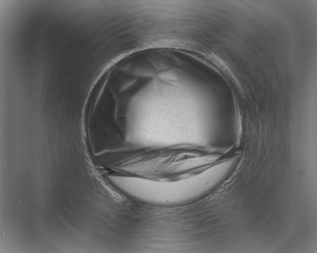 X0000075381230200610061830