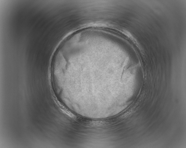 X0000075381232200610061830