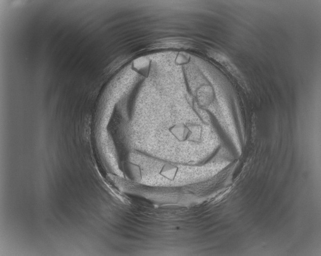 X0000075381233200610061830