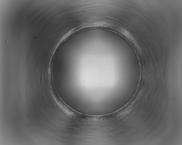 X0000075381234200610061830