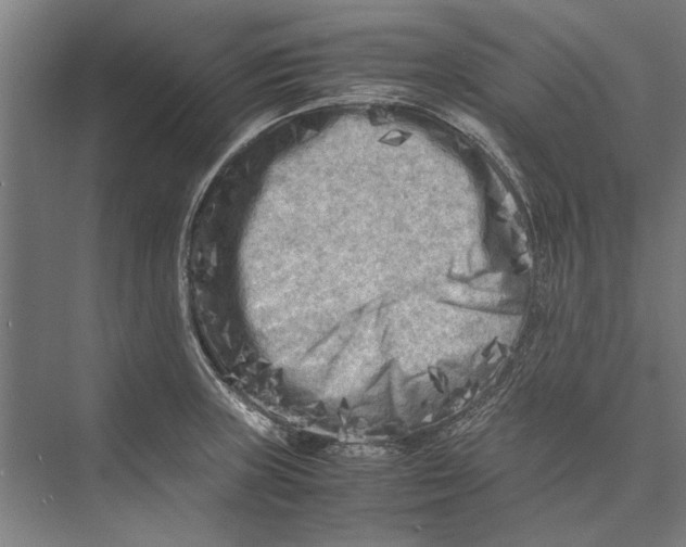 X0000075381235200610061830