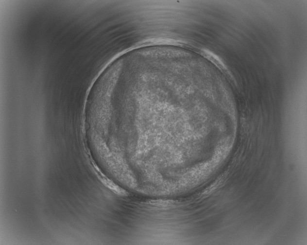 X0000075381236200610061830