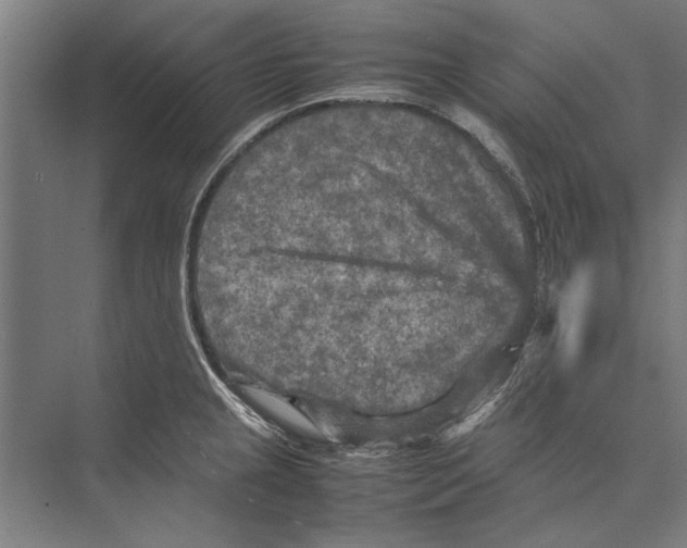 X0000075381237200610061830