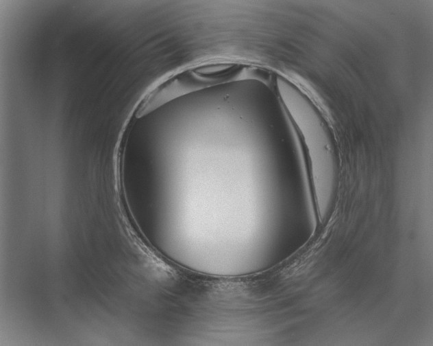 X0000075381238200610061830