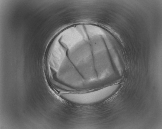 X0000075381239200610061830