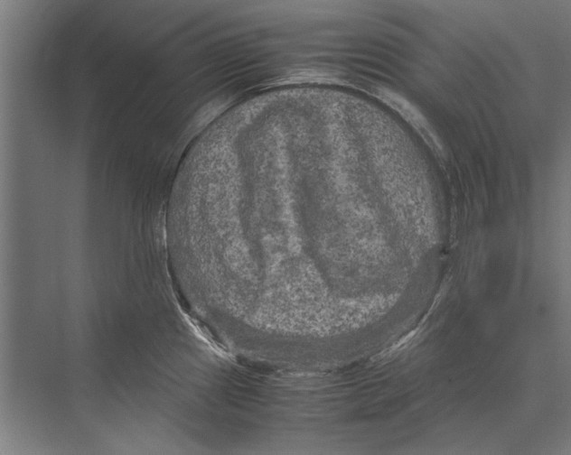 X0000075381241200610061830