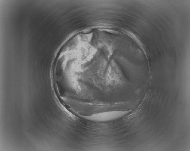 X0000075381243200610061830