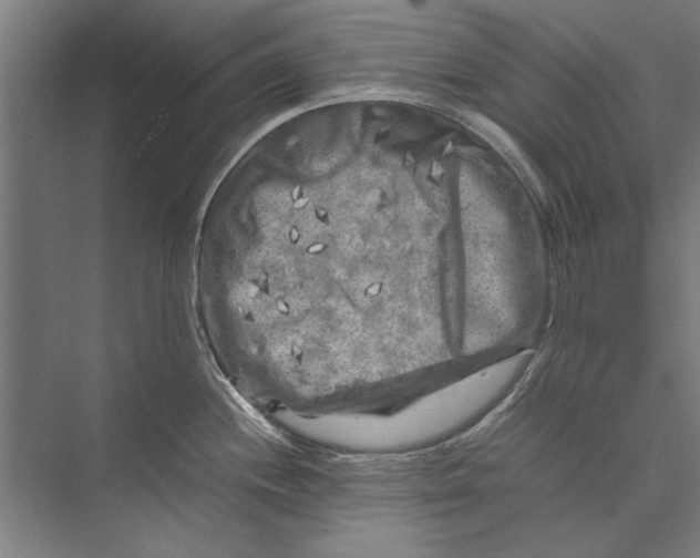 X0000075381244200610061830