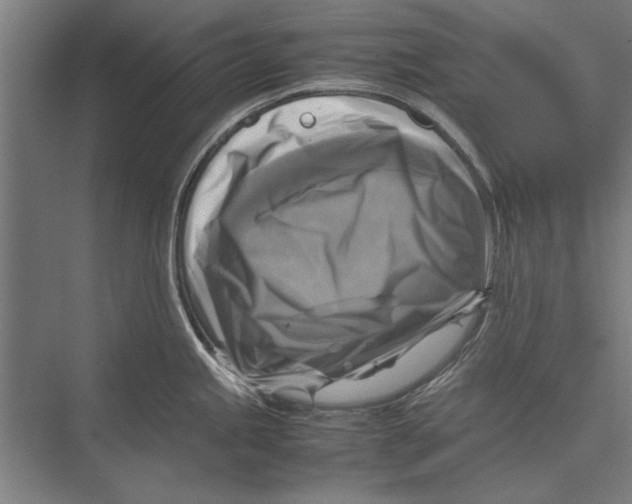 X0000075381245200610061830