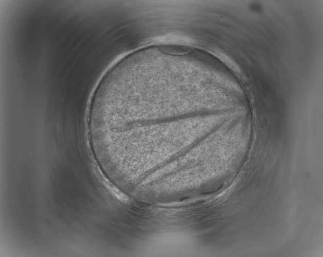 X0000075381248200610061830