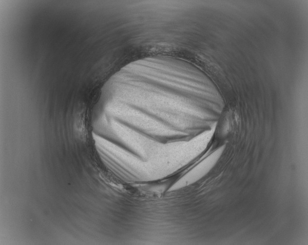 X0000075381250200610061830