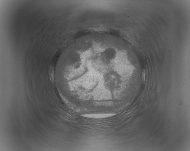 X0000075381251200610061830