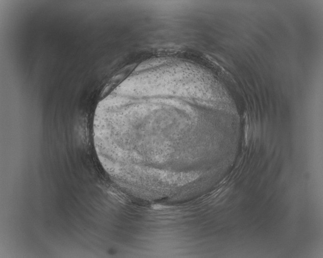 X0000075381252200610061830