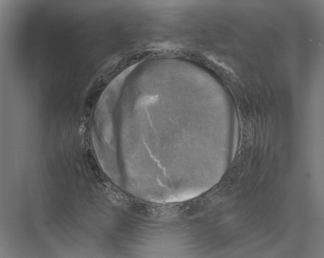 X0000075381254200610061830