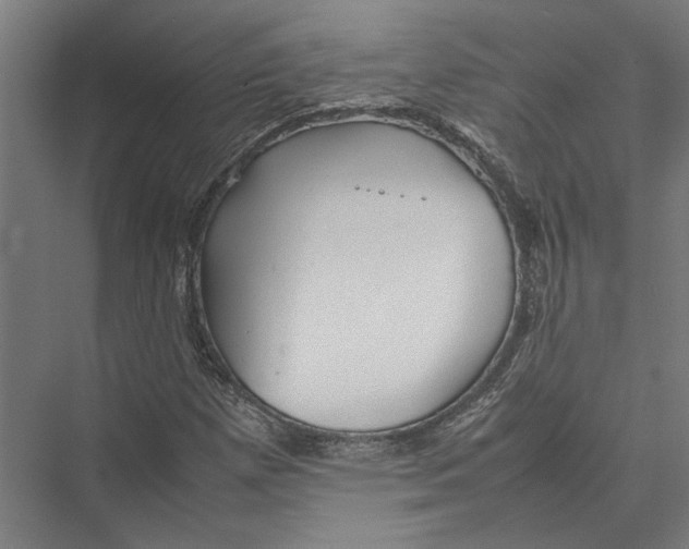 X0000075381257200610061830