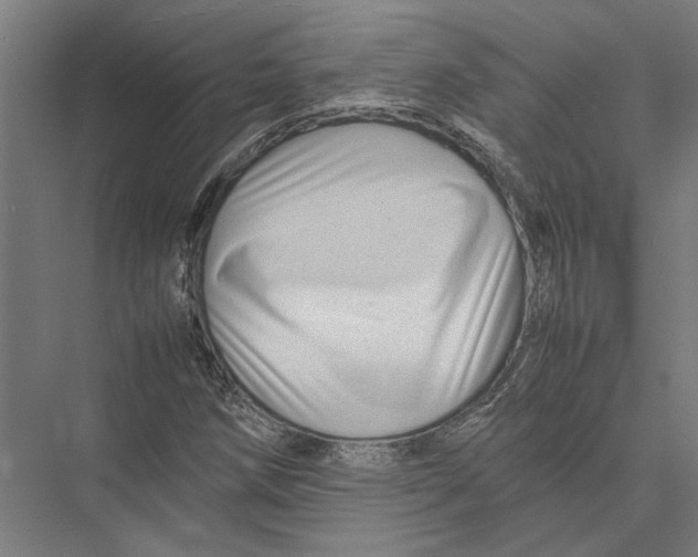 X0000075381258200610061830