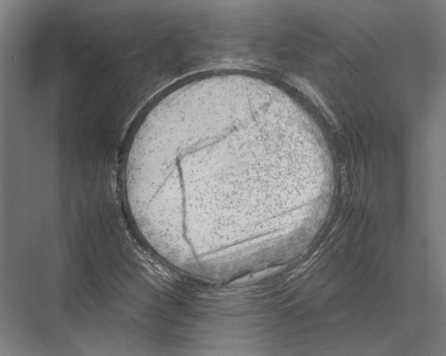 X0000075381260200610061829