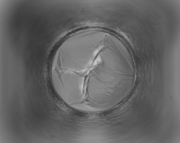 X0000075381263200610061829