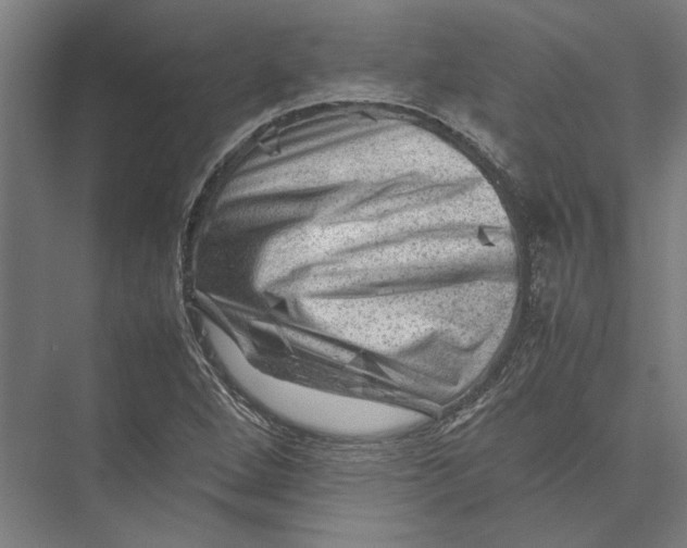 X0000075381264200610061829