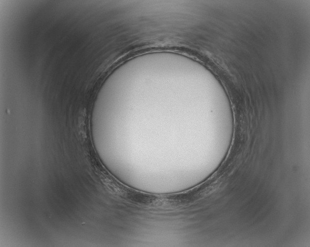 X0000075381265200610061829