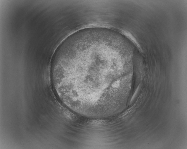 X0000075381268200610061829