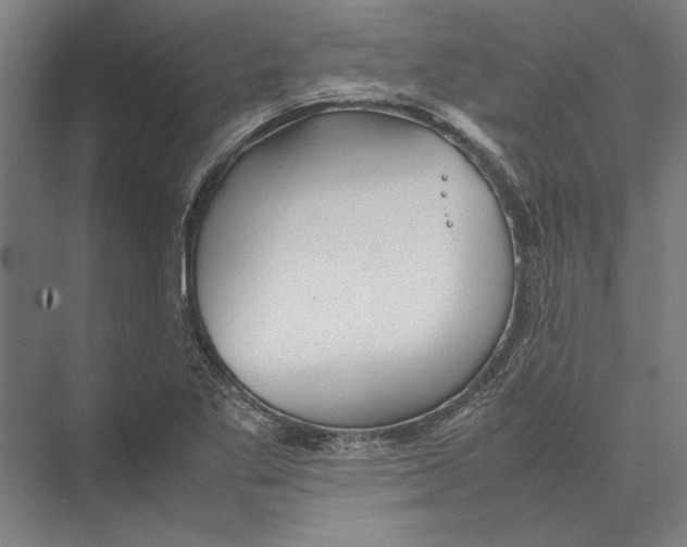 X0000075381269200610061829