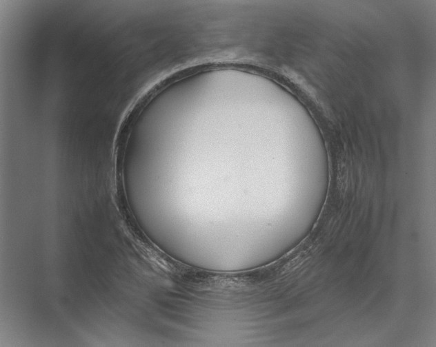 X0000075381270200610061829