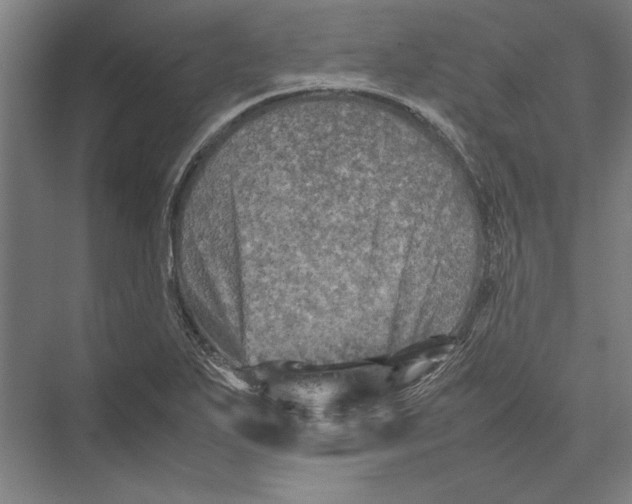 X0000075381271200610061829