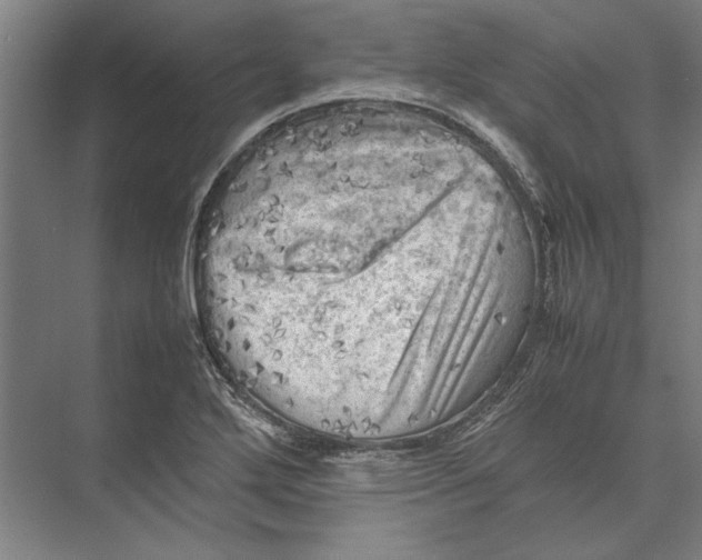 X0000075381272200610061829