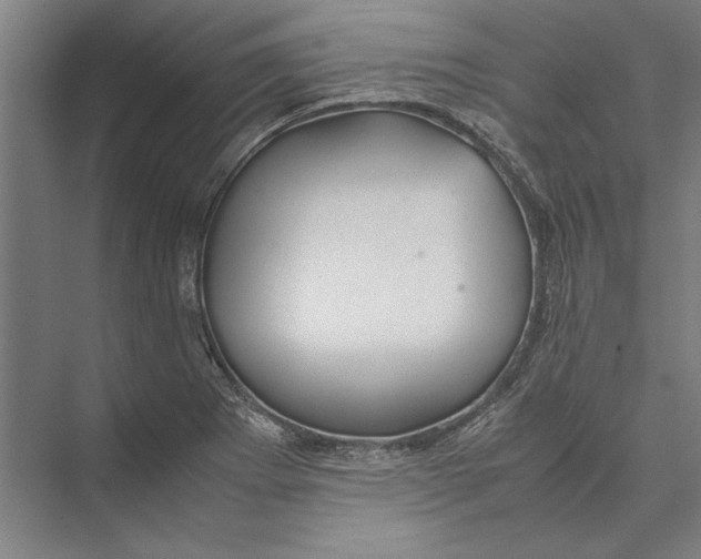 X0000075381273200610061829